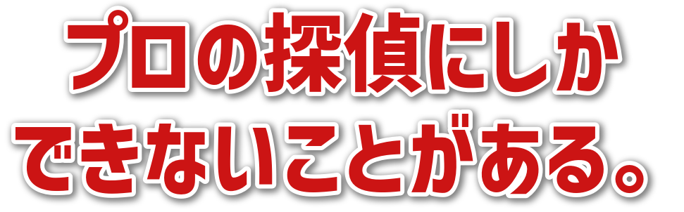 プロの探偵にしかできないことがある。